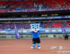 半岛体育官方下载-直播武汉三镇